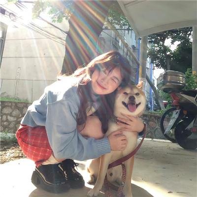 护宝联盟第一季